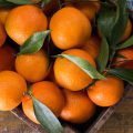 Mandarines © id-art shutterstock