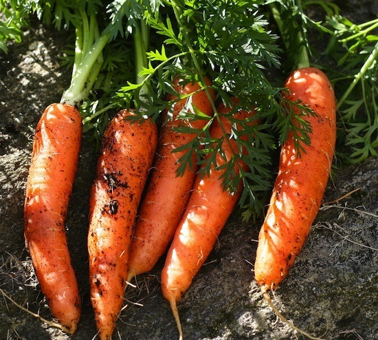 Qu'utilisez-vous pour râper les carottes ?