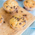 Muffins aux pépites de chocolat ©Masha Nemova shutterstock