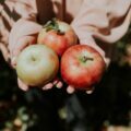 Pommes © Natalie Grainger on Unsplash