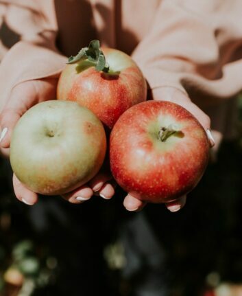 Pommes © Natalie Grainger on Unsplash