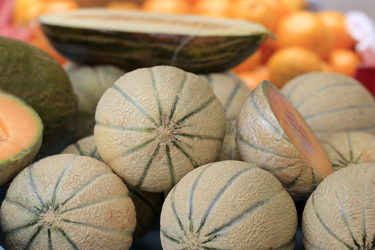 Melons ©R. Maximiliane shutterstock