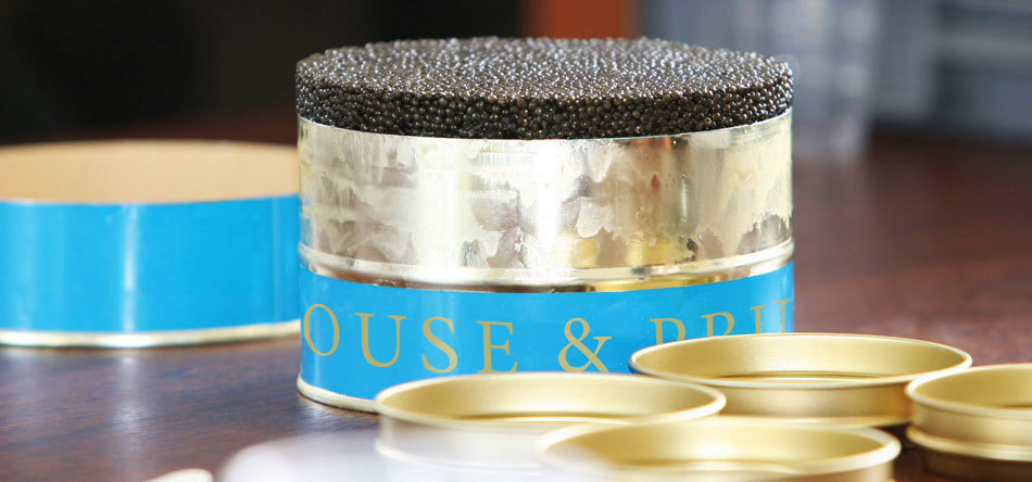 Prunier Baeri Caviar Français