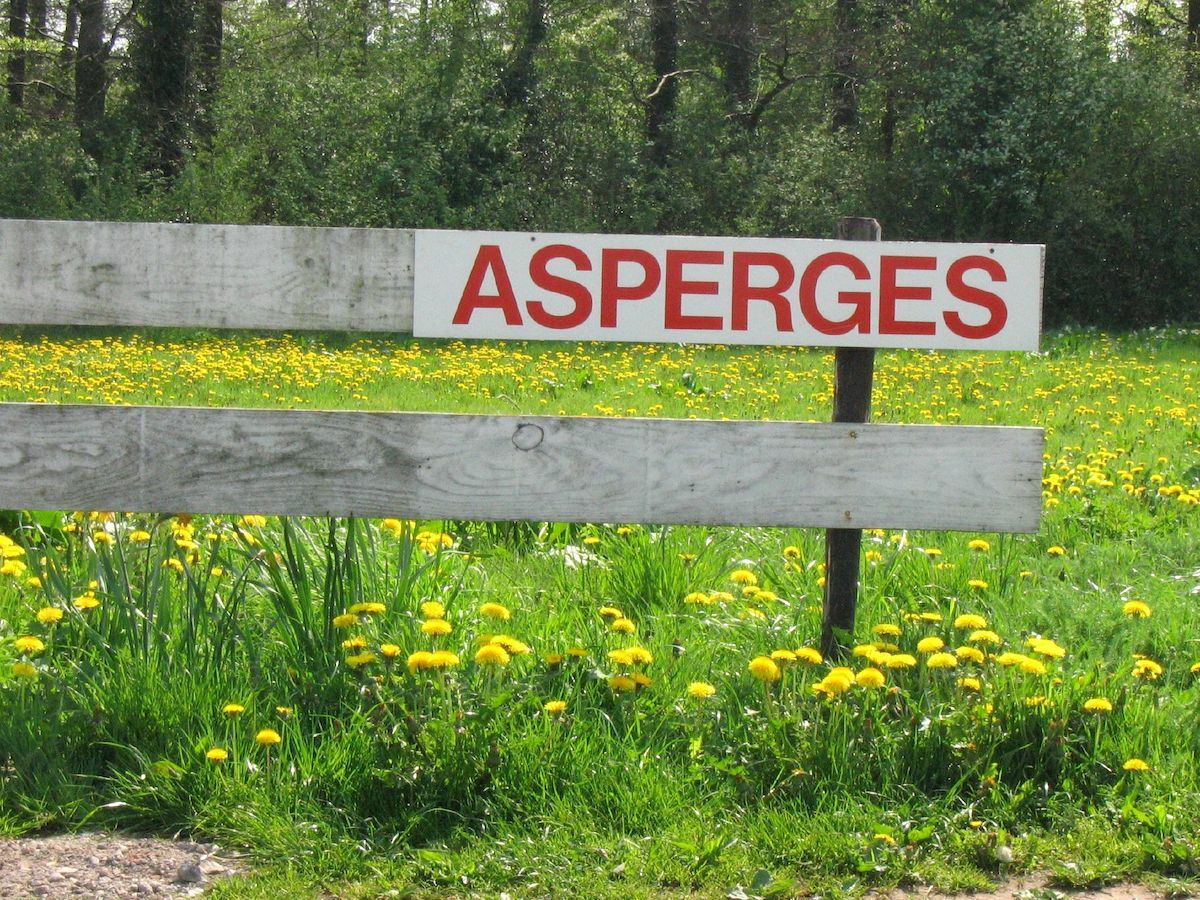 Panneau asperges©jaydot