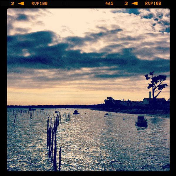 Cap Ferret