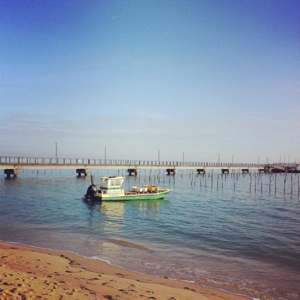 Cap Ferret