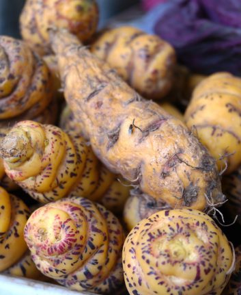 Ocas du Pérou, marché central, Lima