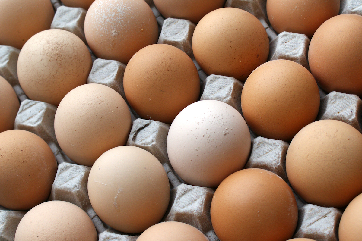 Comment conserver ses œufs de Pâques ? 