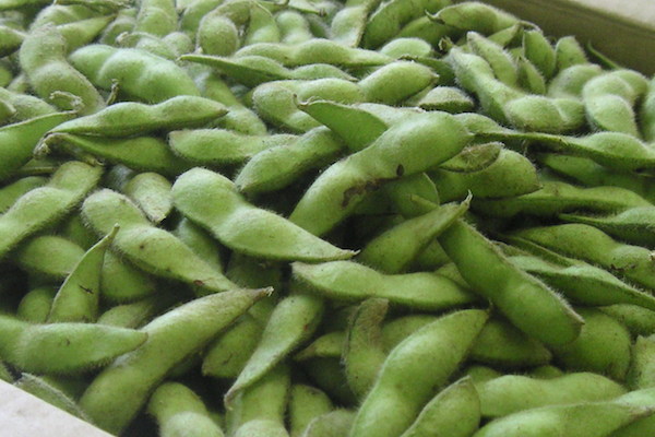  Edamame 