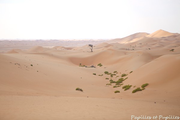 Desert de Razeen
