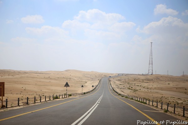 Sur la route du desert