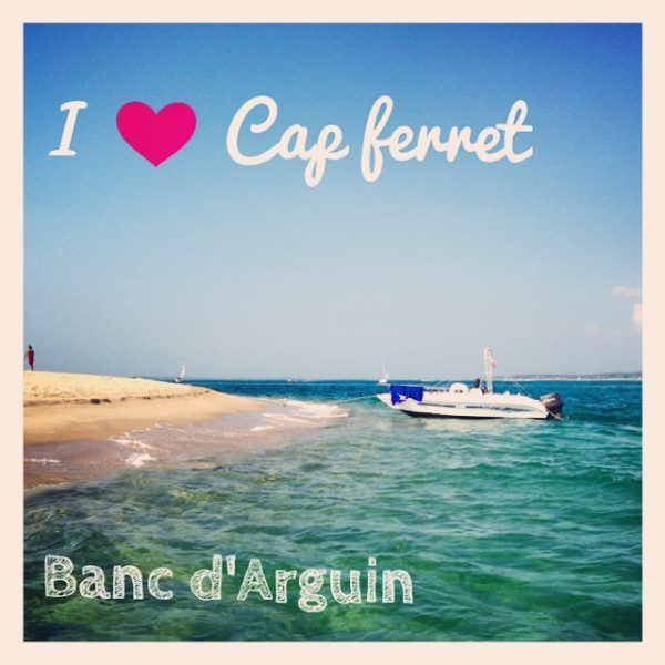 Le banc d'Arguin