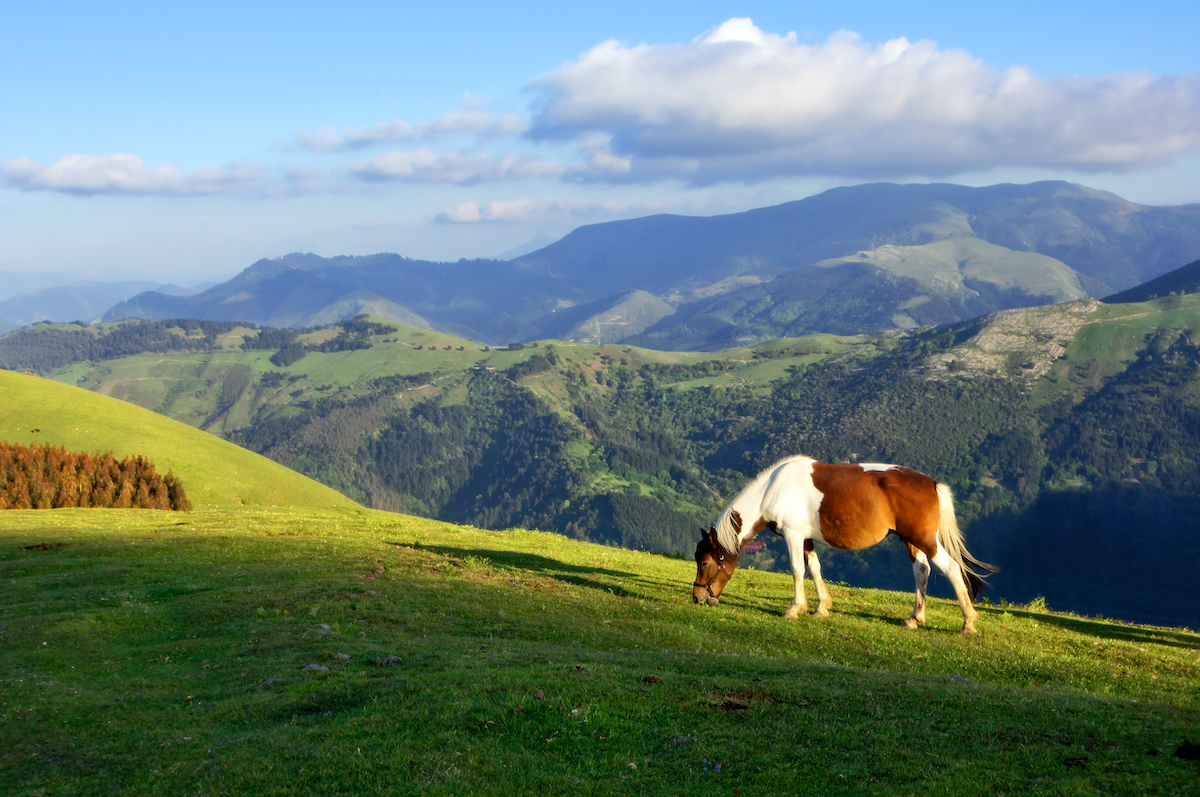 Pays Basque ©mimadeo Shutterstock