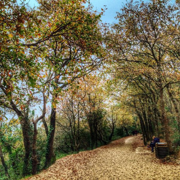 Promenade du dimanche