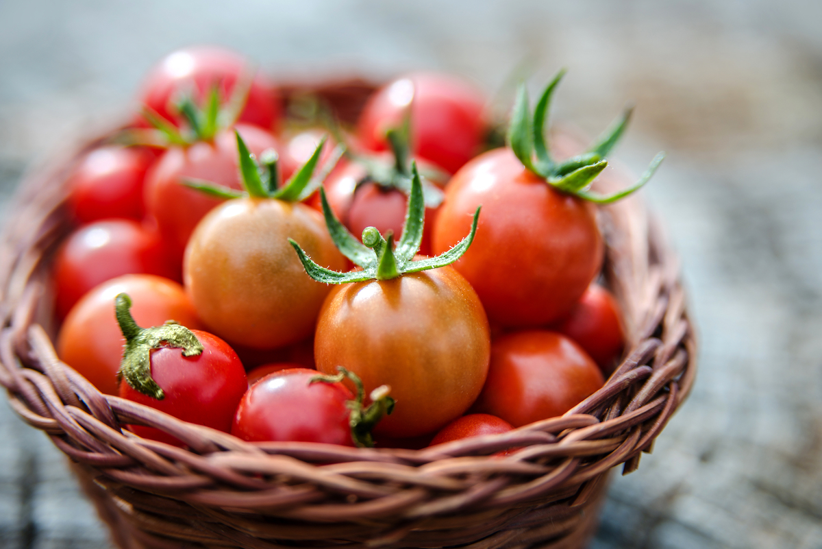 Tomates ©Juta Shutterstock