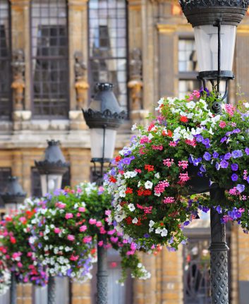 Bruxelles Grand Place – Bruxelles © skyfish shutterstock