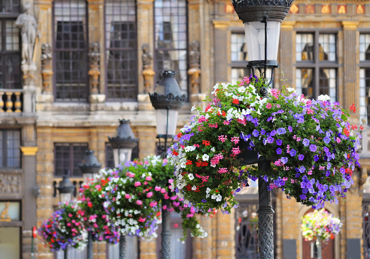 Bruxelles Grand Place – Bruxelles © skyfish shutterstock