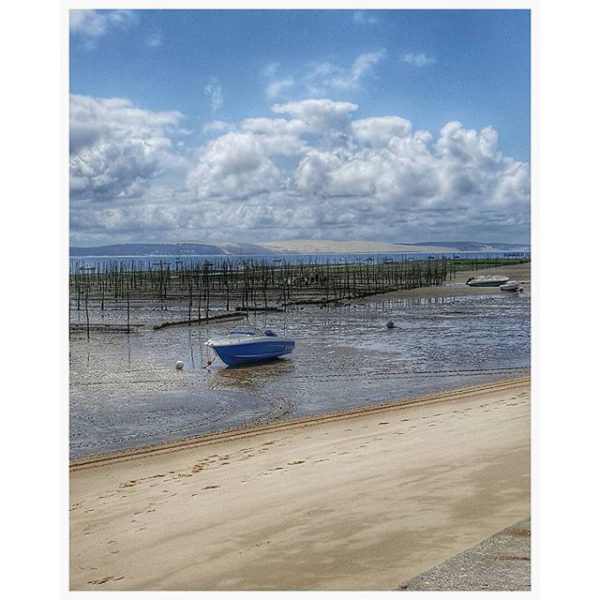 Cap Ferret