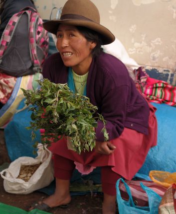 Huacatay - Marché Urubamba, Pérou