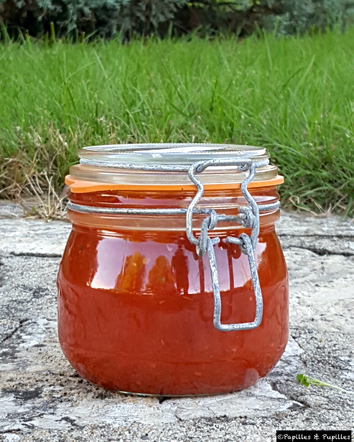 Sauce tomate maison, la recette de ma grand mère