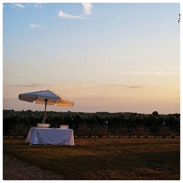 Douceur de vivre dans le vignoble bordelais ❤