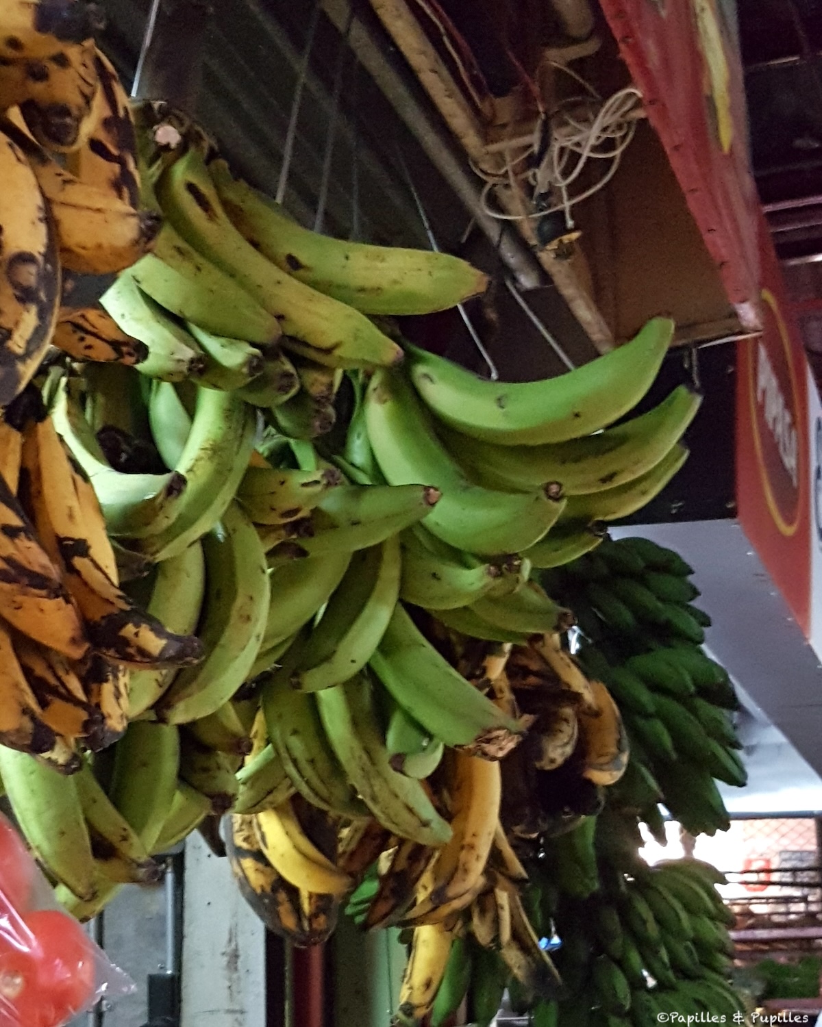 Bananes plantain