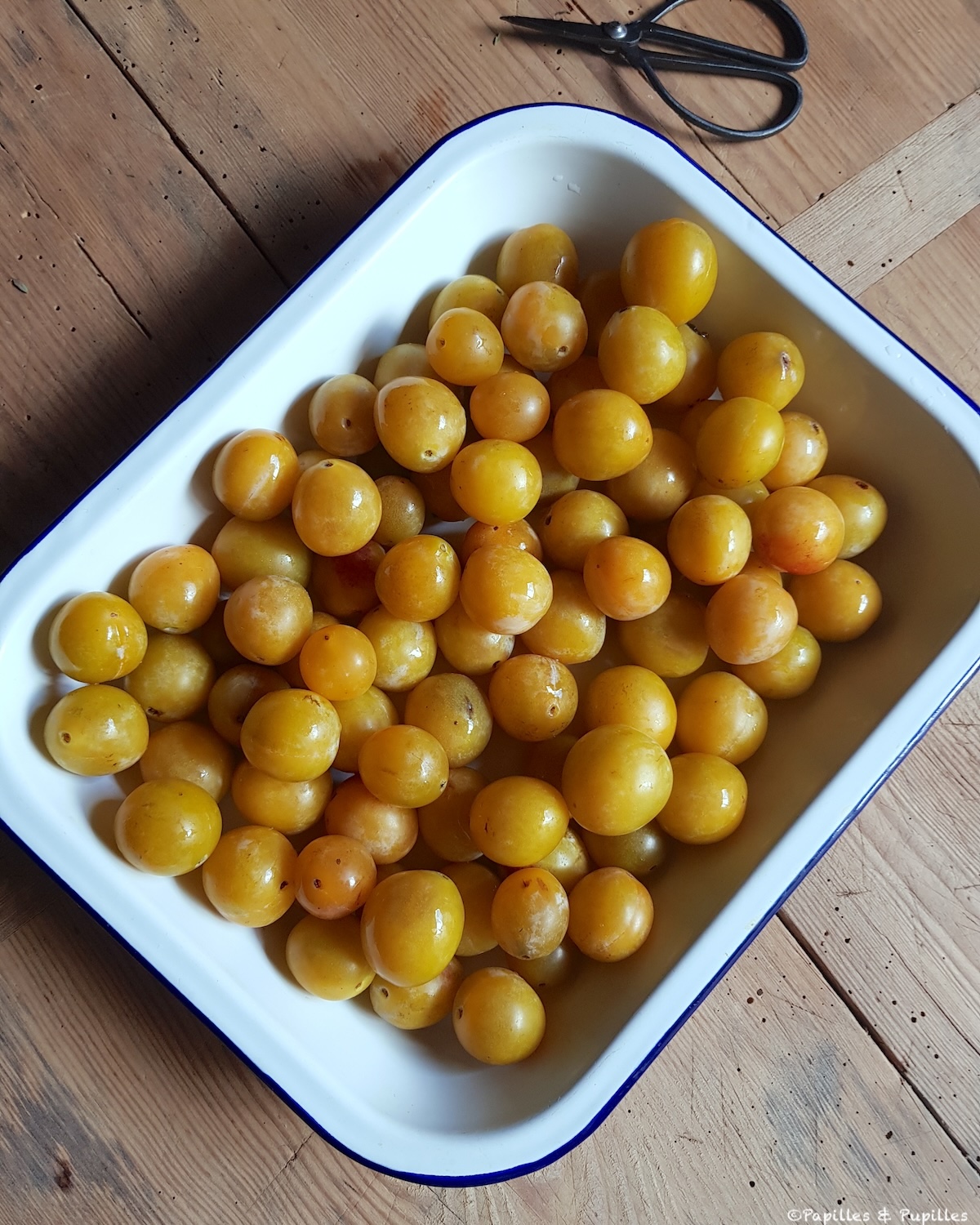 Mirabelles