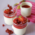 Pannacotta au lait de coco et aux fruits rouges