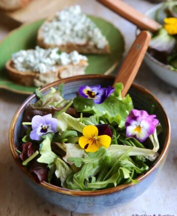 Salade aux fleurs de pensées, tartines de fromage frais aux herbes