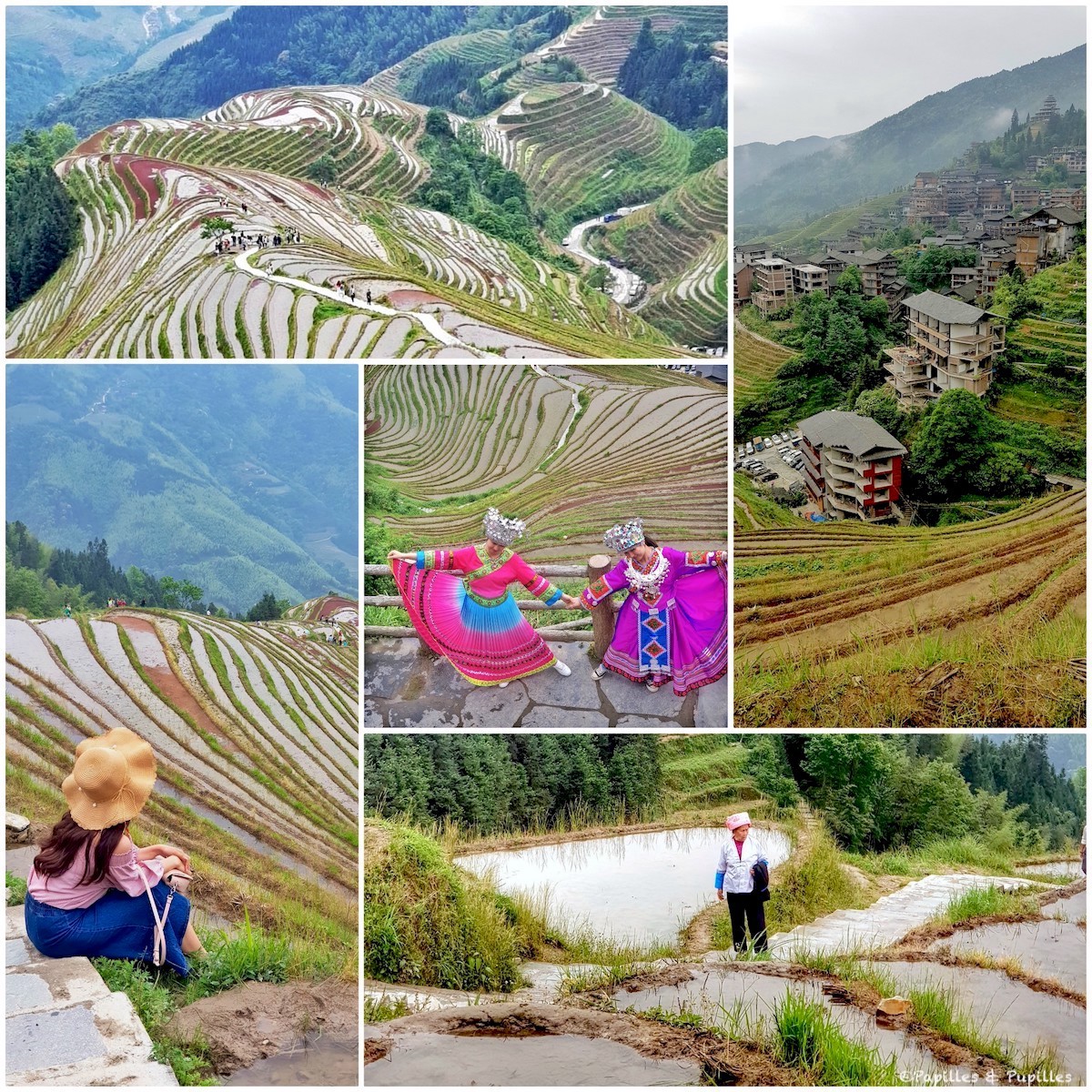 Les rizières en terrasses - Chine