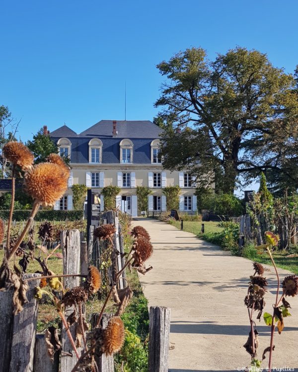 Château Guiraud