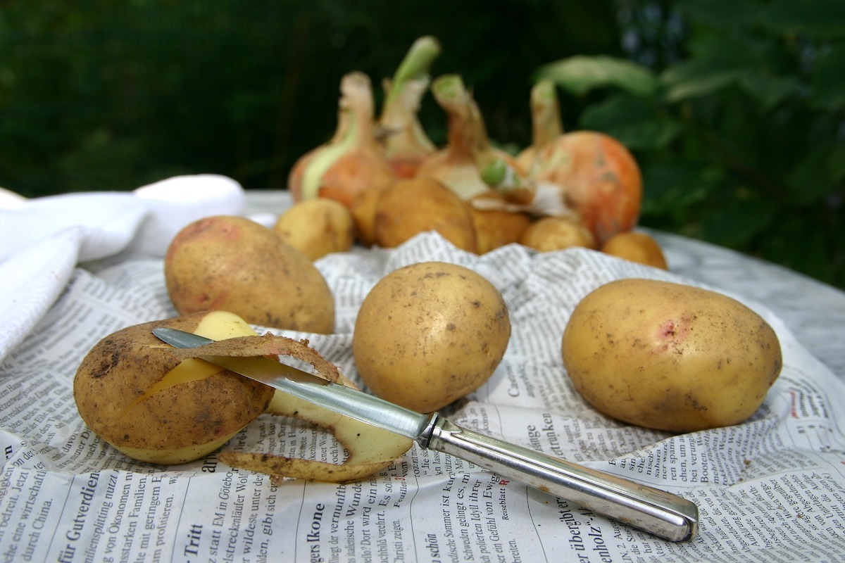 Epluchures de pommes de terre ©sonja_paetow