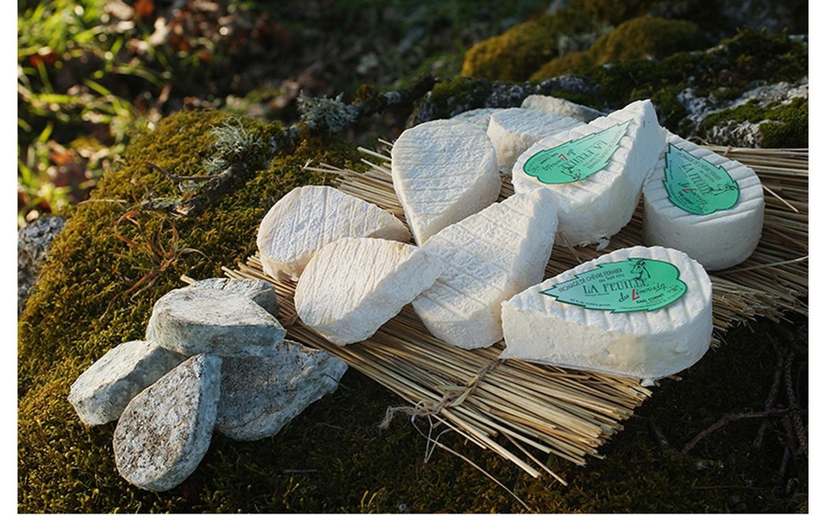 Feuilles du Limousin ©Fromages de chèvre