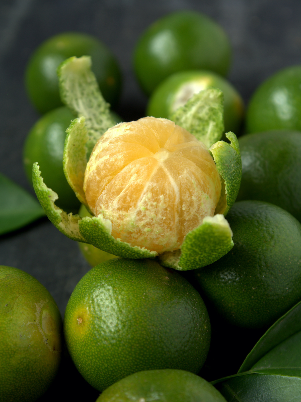 Calamansi © Dolly MJ shutterstock