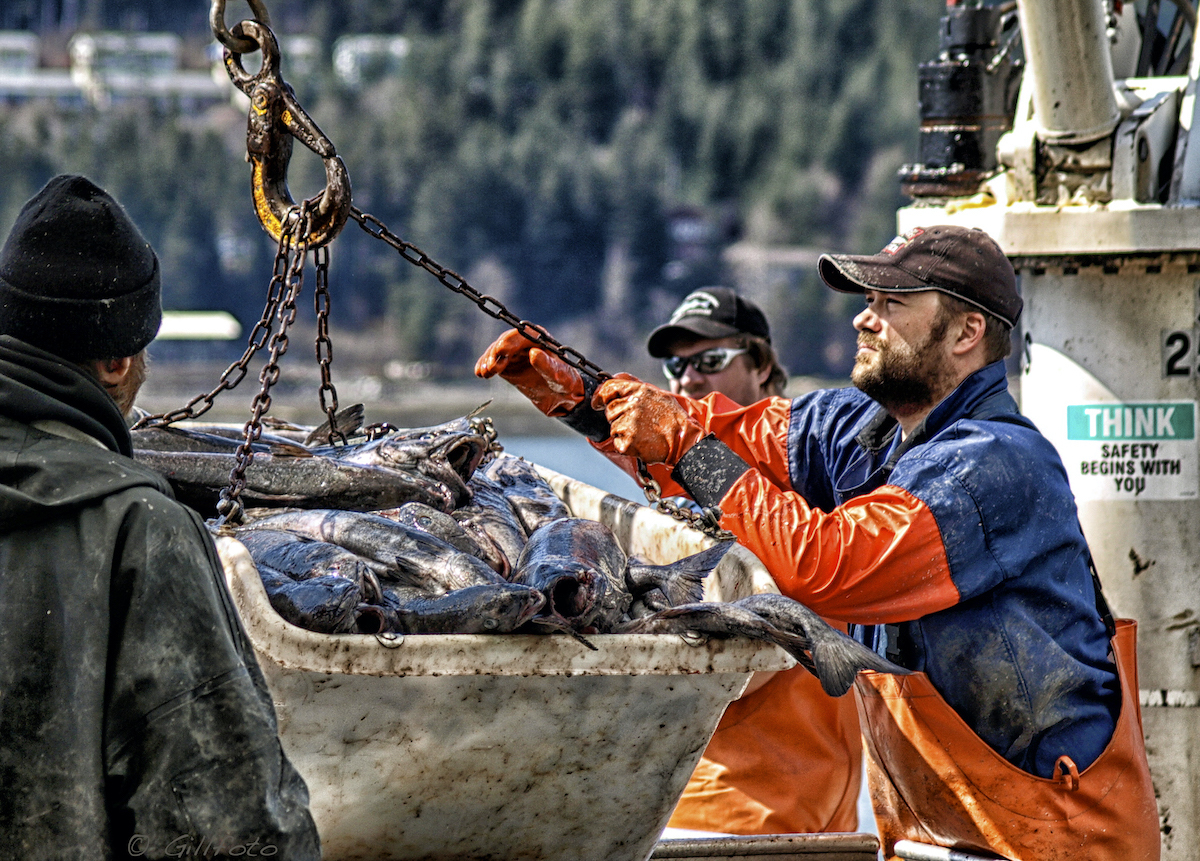 Southeast Alaska by Gillfoto