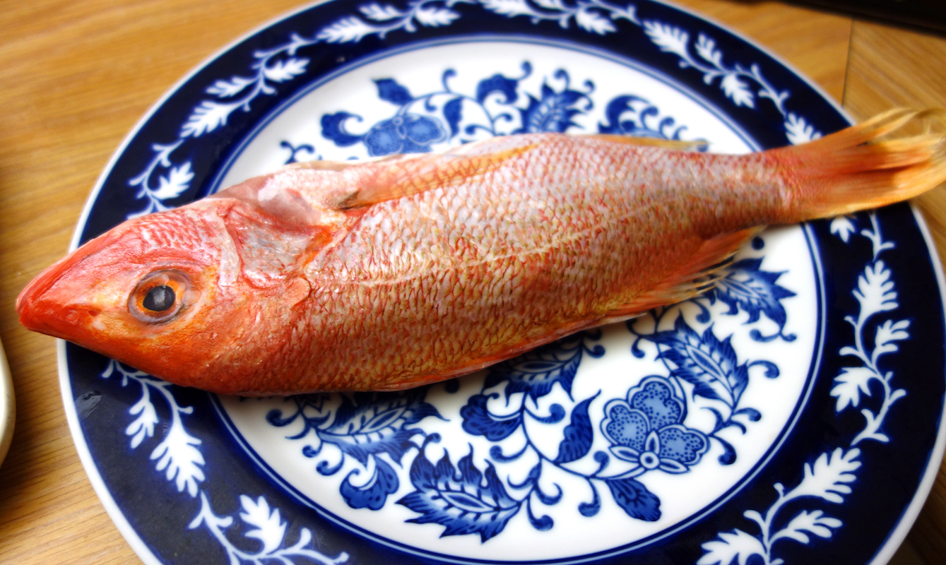 Red snapper ©cogito ergo imago CC BY-SA 2.0