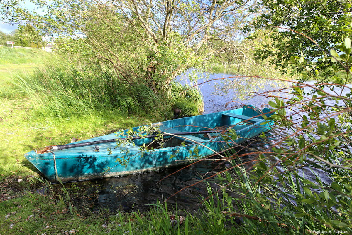 Marais de Brière