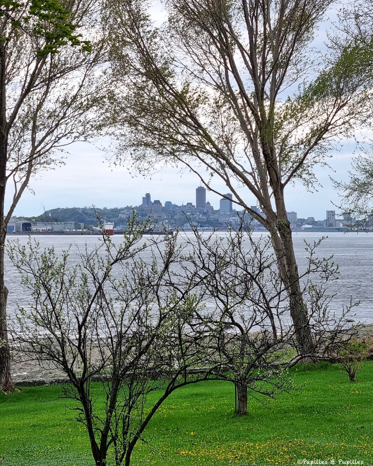 Avoine - Voyage à travers le Québec