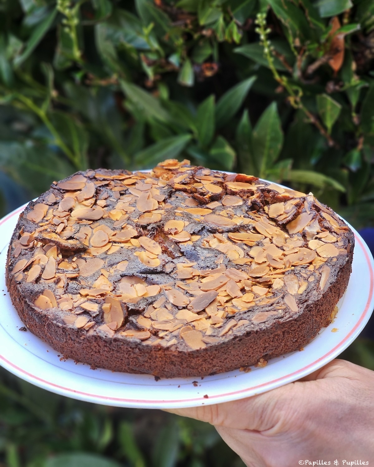 Gâteau aux pommes et aux amandes