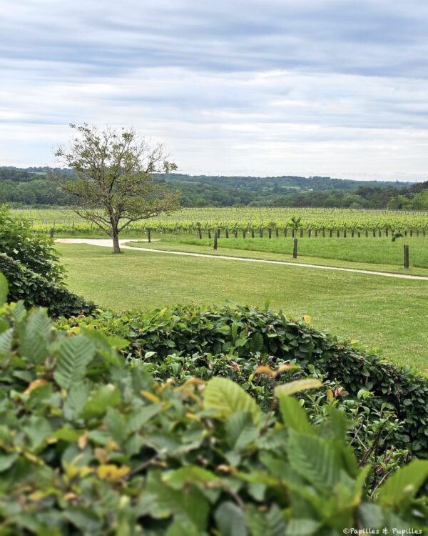 Vignes Le Grand Verdus