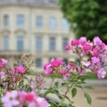 Jardin public - Bordeaux
