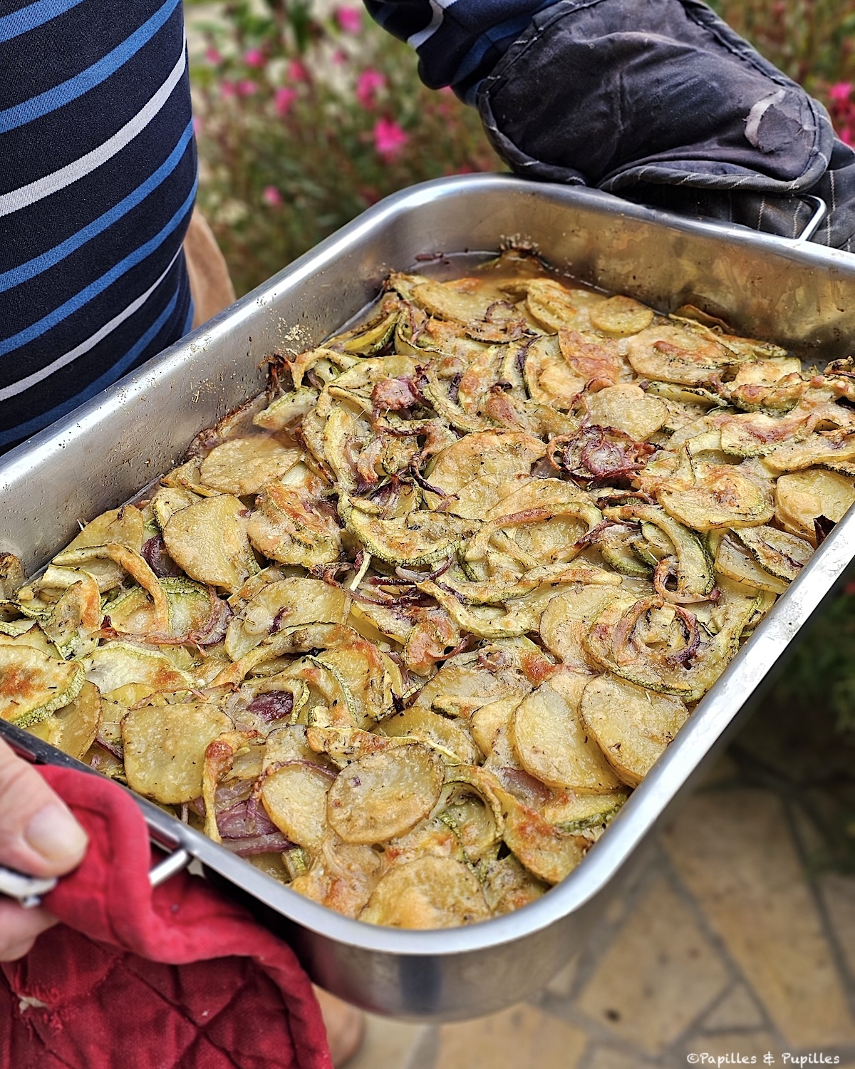 Gratin de pommes de terre aux courgette et Parmesan