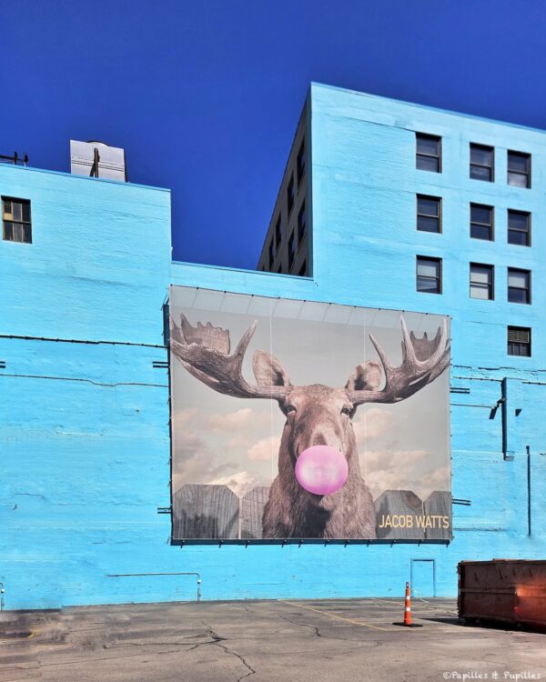 Moose Bubblegum Bubble Mural by Jacob Watts