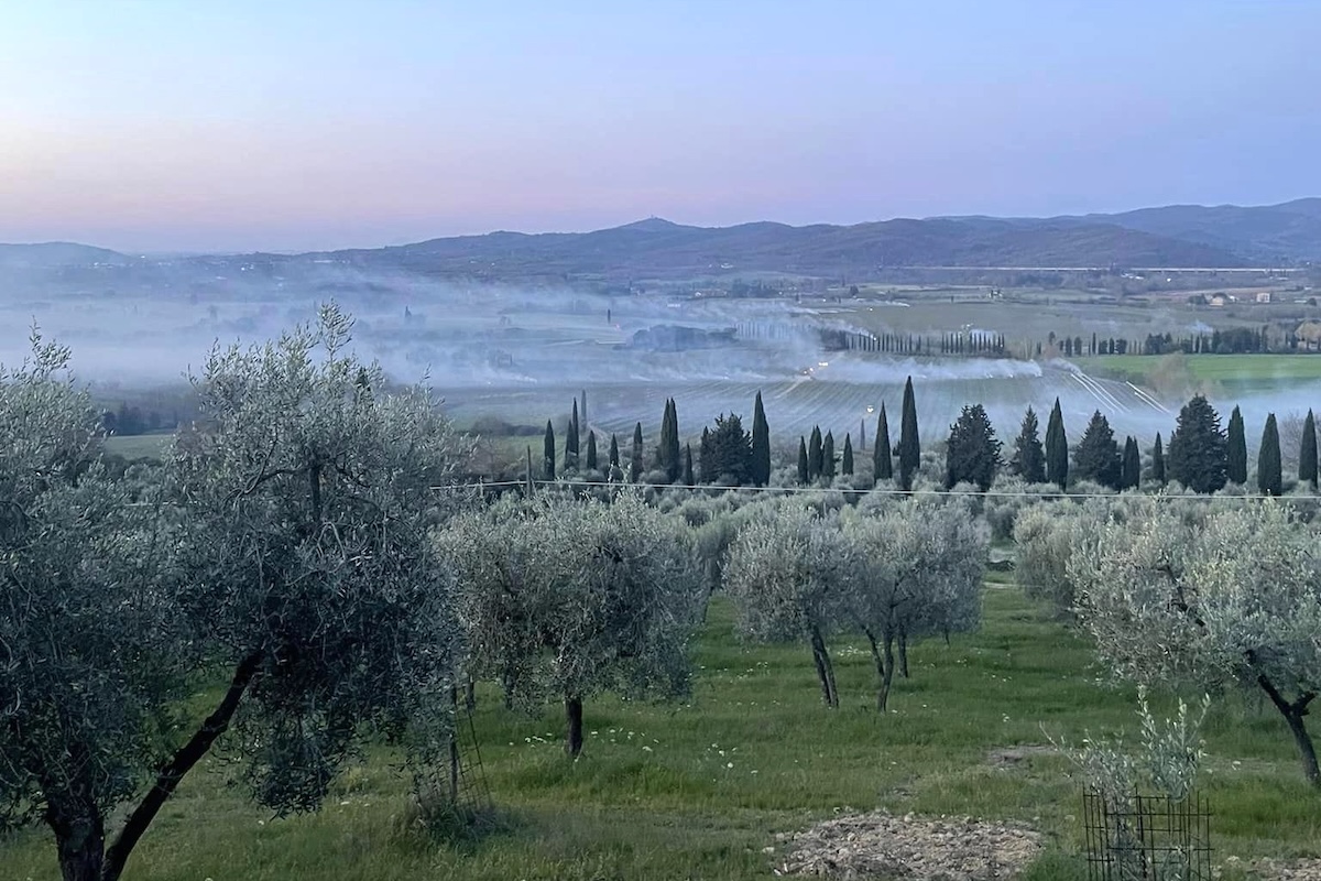 Fattoria la Vialla ©Fattoria la Vialla