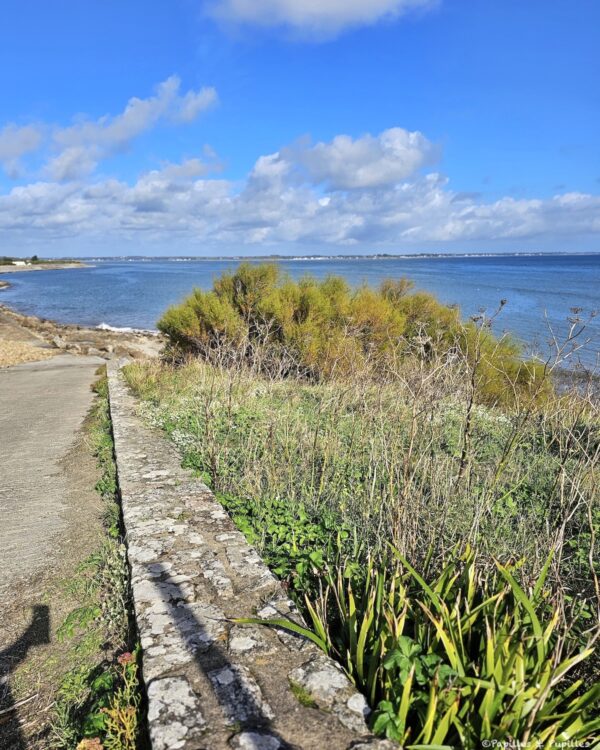 Isthme de Penthièvre côté océan