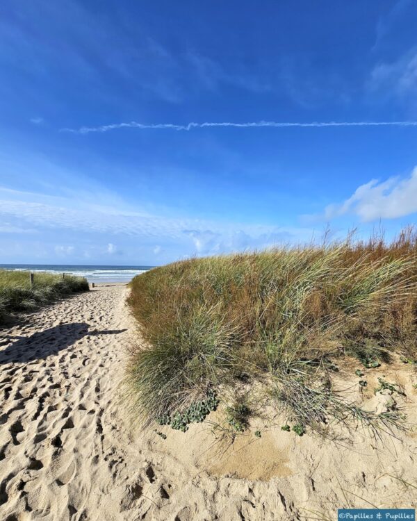 Plage de Mané Guen