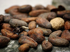 Fèves de cacao - Chocolaterie Lamy - Brive la Gaillarde